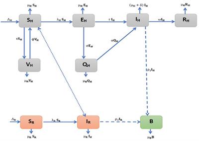 The transmission dynamics of the monkeypox virus in the presence of environmental transmission